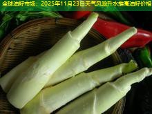 全球油籽市场：2025年11月23日天气风险升水推高油籽价格