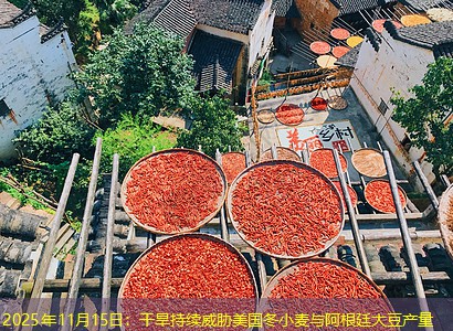 2025年11月15日：干旱持续威胁美国冬小麦与阿根廷大豆产量