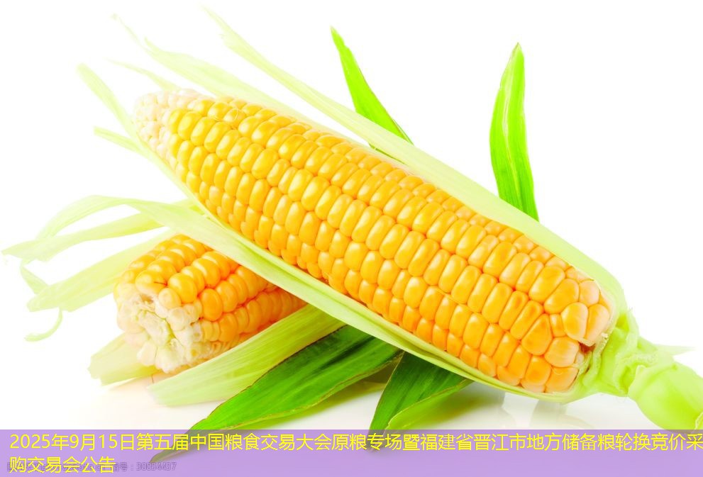 2025年9月15日第五届中国粮食交易大会原粮专场暨福建省晋江市地方储备粮轮换竞价采购交易会公告