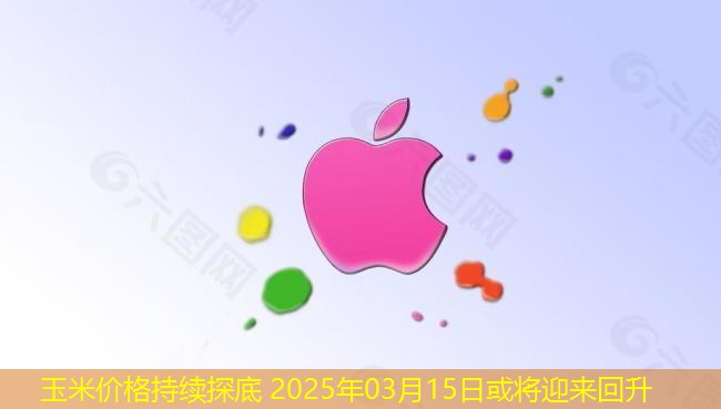 玉米价格持续探底 2025年03月15日或将迎来回升