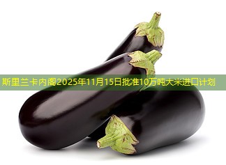 斯里兰卡内阁2025年11月15日批准10万吨大米进口计划