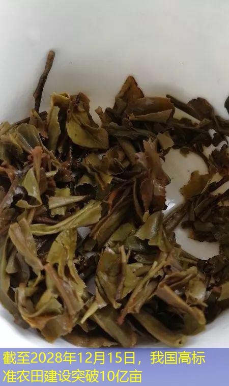 截至2028年12月15日，我国高标准农田建设突破10亿亩