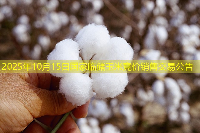 2025年10月15日国家临储玉米竞价销售交易公告