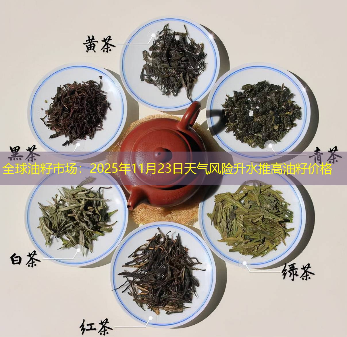 全球油籽市场：2025年11月23日天气风险升水推高油籽价格