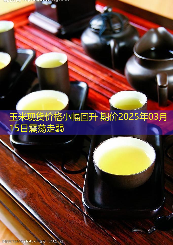 玉米现货价格小幅回升 期价2025年03月15日震荡走弱