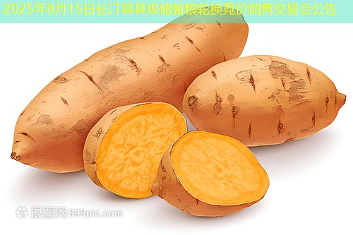 2025年8月15日长汀县县级储备粮轮换竞价销售交易会公告