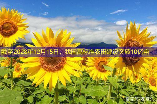 截至2028年12月15日，我国高标准农田建设突破10亿亩