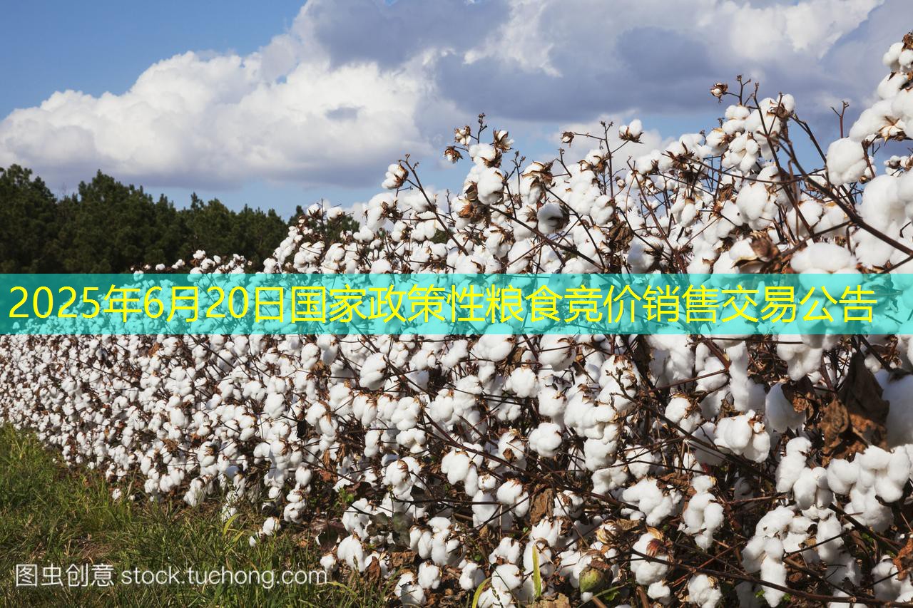 2025年6月20日国家政策性粮食竞价销售交易公告