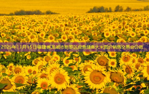 2025年11月15日福建省龙岩市新罗区应急储备大米竞价销售交易会公告