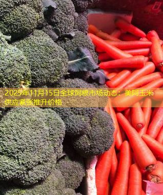 2025年11月15日全球饲粮市场动态：美阿玉米供应紧张推升价格