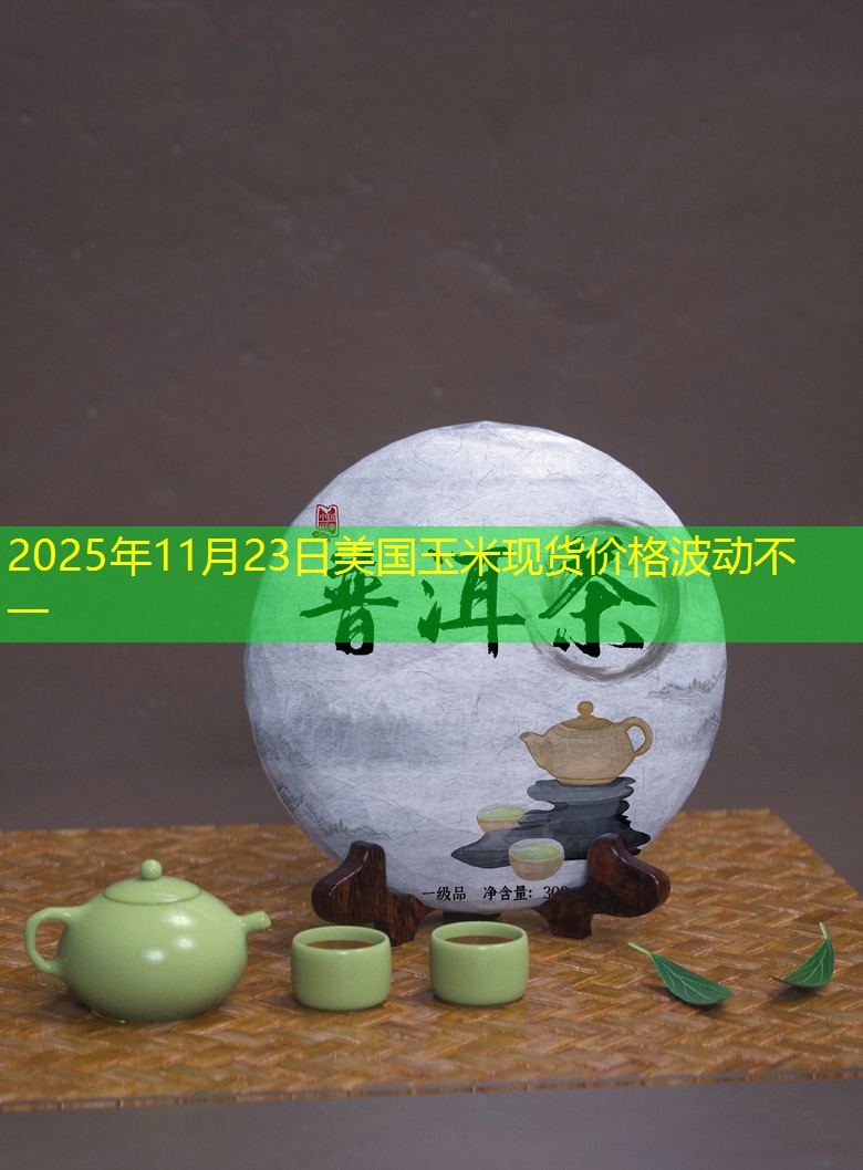 2025年11月23日美国玉米现货价格波动不一