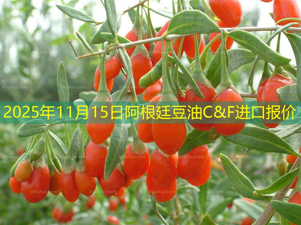 2025年11月15日阿根廷豆油C&F进口报价