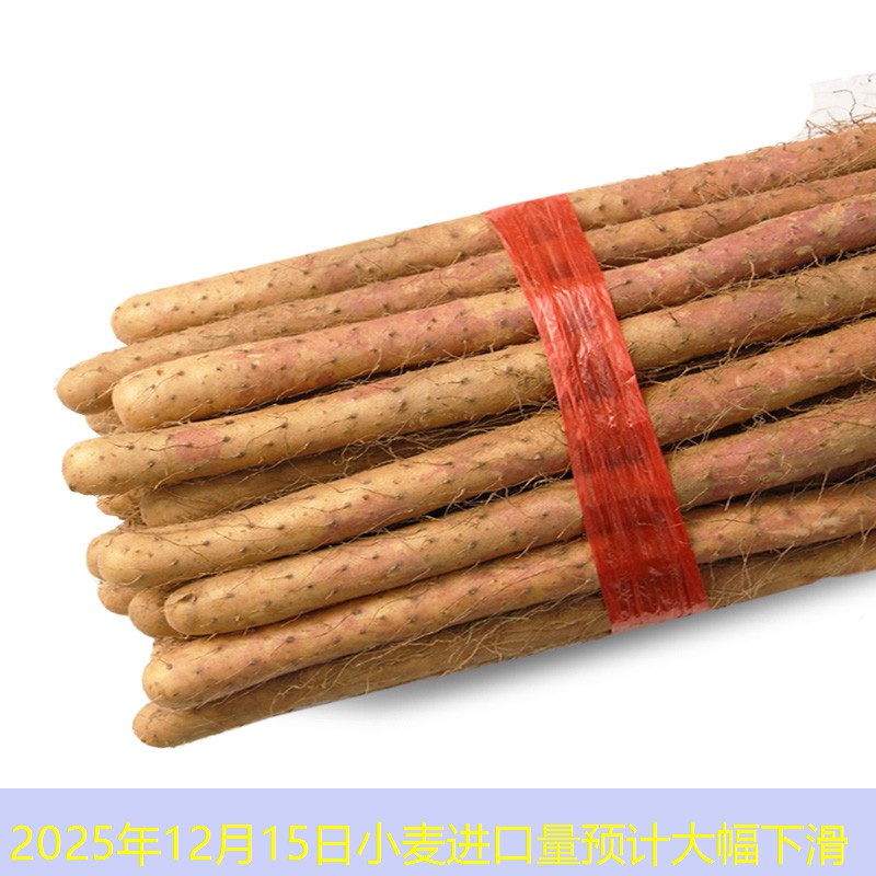 2025年12月15日小麦进口量预计大幅下滑