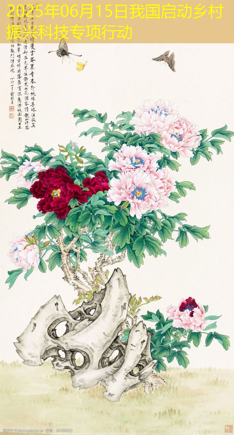2025年06月15日我国启动乡村振兴科技专项行动
