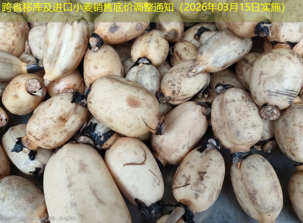 跨省移库及进口小麦销售底价调整通知（2026年03月15日实施）