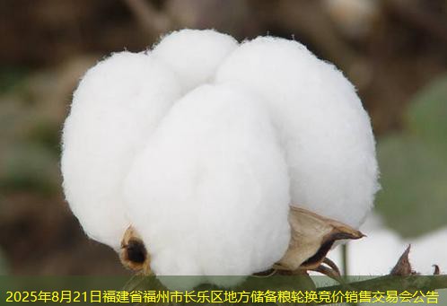 2025年8月21日福建省福州市长乐区地方储备粮轮换竞价销售交易会公告