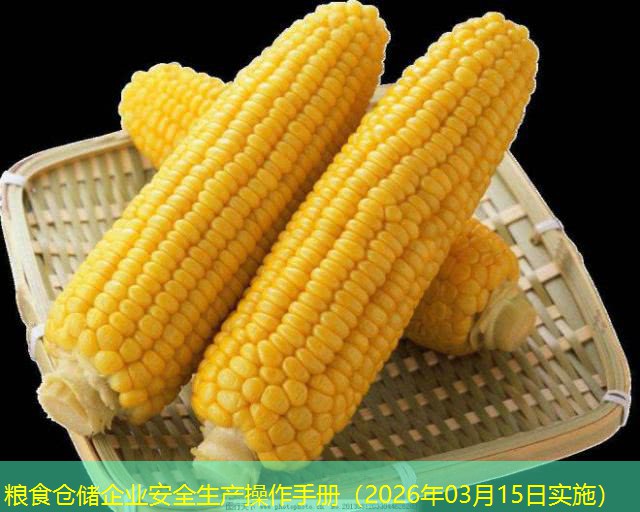 粮食仓储企业安全生产操作手册（2026年03月15日实施）