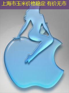 上海市玉米价格稳定 有价无市