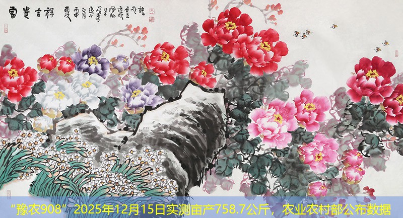 “豫农908”2025年12月15日实测亩产758.7公斤，农业农村部公布数据