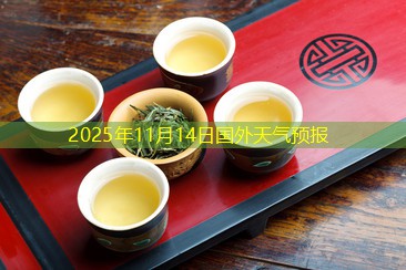 2025年11月14日国外天气预报