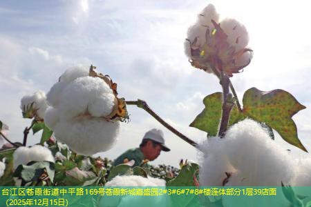 台江区苍霞街道中平路169号苍霞新城嘉盛园2#3#6#7#8#楼连体部分1层39店面（2025年12月15日）