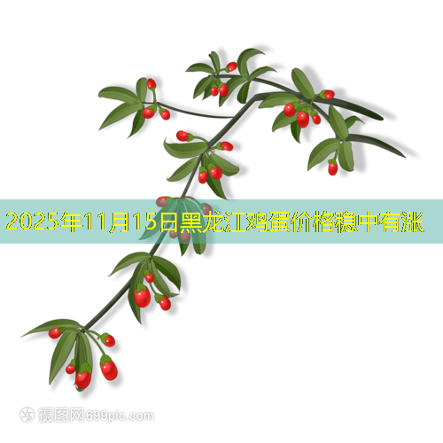 2025年11月15日黑龙江鸡蛋价格稳中有涨