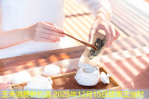 玉米消费新机遇 2025年12月15日建库正当时