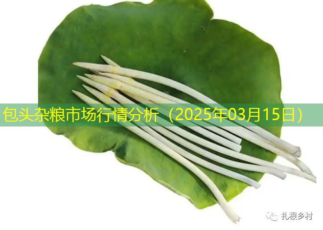 包头杂粮市场行情分析（2025年03月15日）