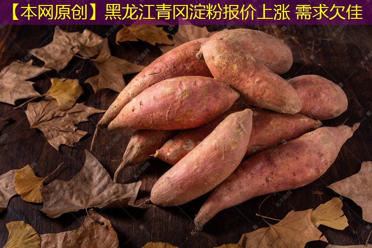 【本网原创】黑龙江青冈淀粉报价上涨 需求欠佳