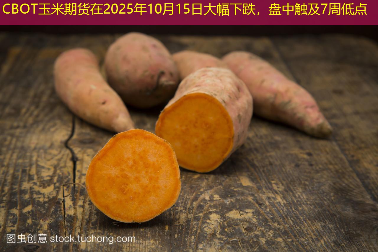 CBOT玉米期货在2025年10月15日大幅下跌，盘中触及7周低点