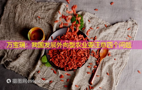 万宝瑞：我国发展外向型农业要注意四个问题