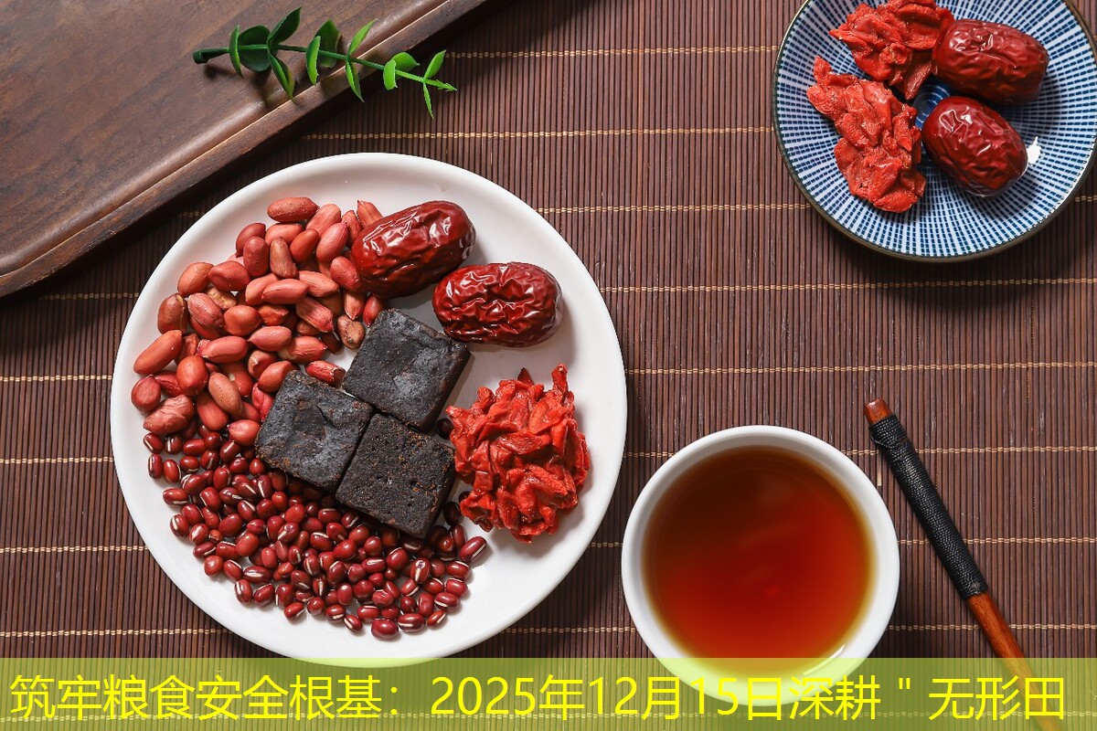 筑牢粮食安全根基：2025年12月15日深耕＂无形田