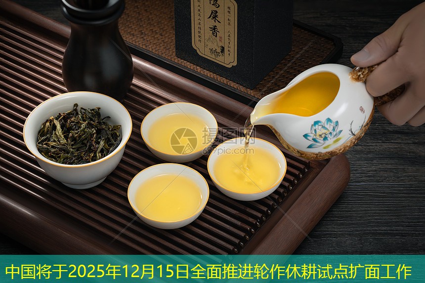 中国将于2025年12月15日全面推进轮作休耕试点扩面工作