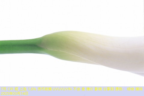 7月 CPI 或 上涨 1.6% 货币政策 UVUVUV料 不会 受 猪价 影响 分享到 源自： 综合 媒体 2025年03月14日
