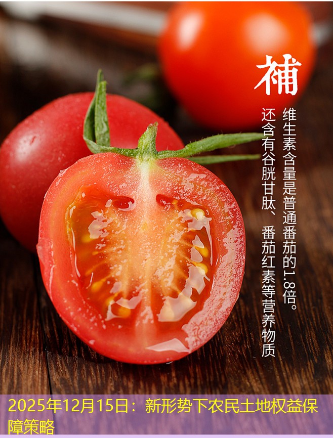 2025年12月15日：新形势下农民土地权益保障策略