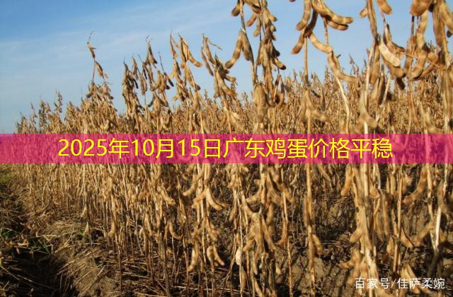 2025年10月15日广东鸡蛋价格平稳