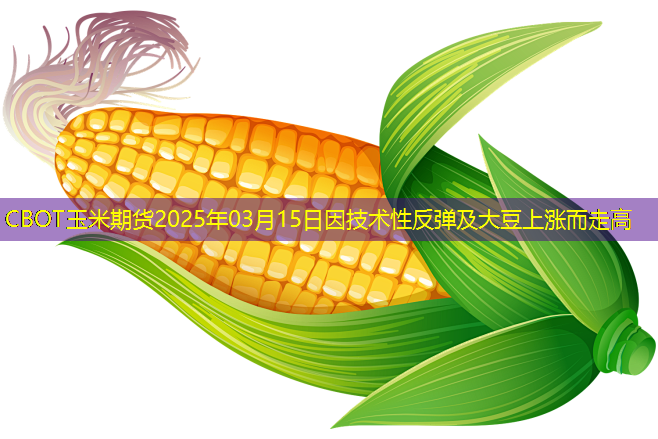CBOT玉米期货2025年03月15日因技术性反弹及大豆上涨而走高
