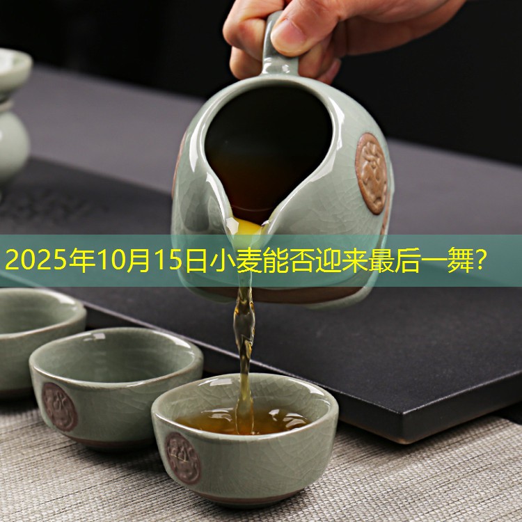 2025年10月15日小麦能否迎来最后一舞？