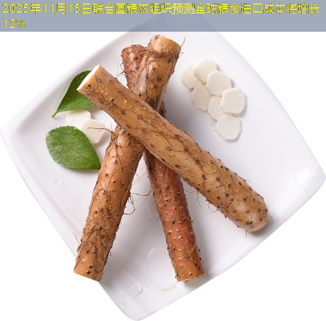 2025年11月15日联合国粮农组织预测全球粮食进口成本将增长12%