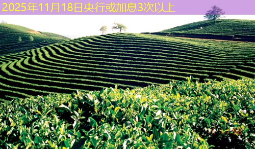 2025年11月18日央行或加息3次以上