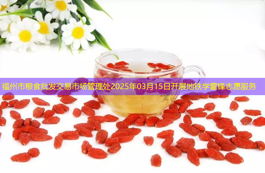 福州市粮食批发交易市场管理处2025年03月15日开展地铁学雷锋志愿服务