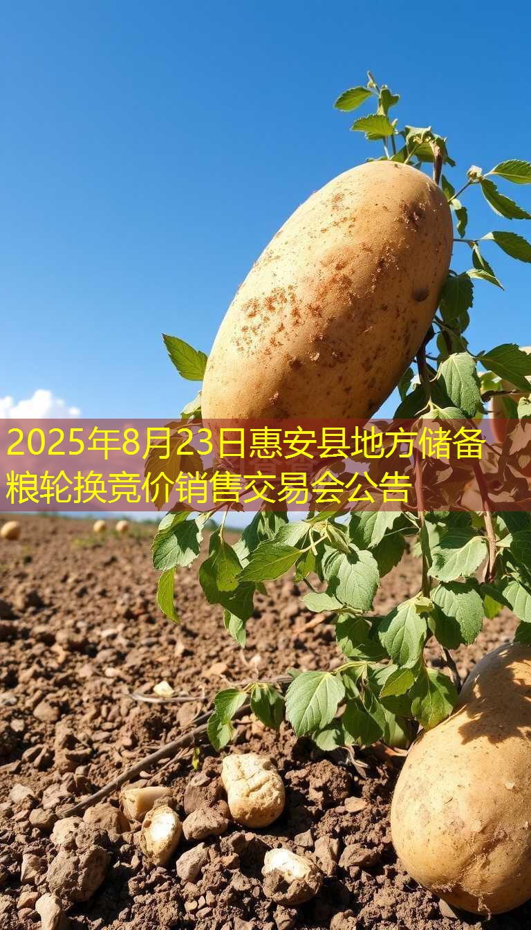 2025年8月23日惠安县地方储备粮轮换竞价销售交易会公告