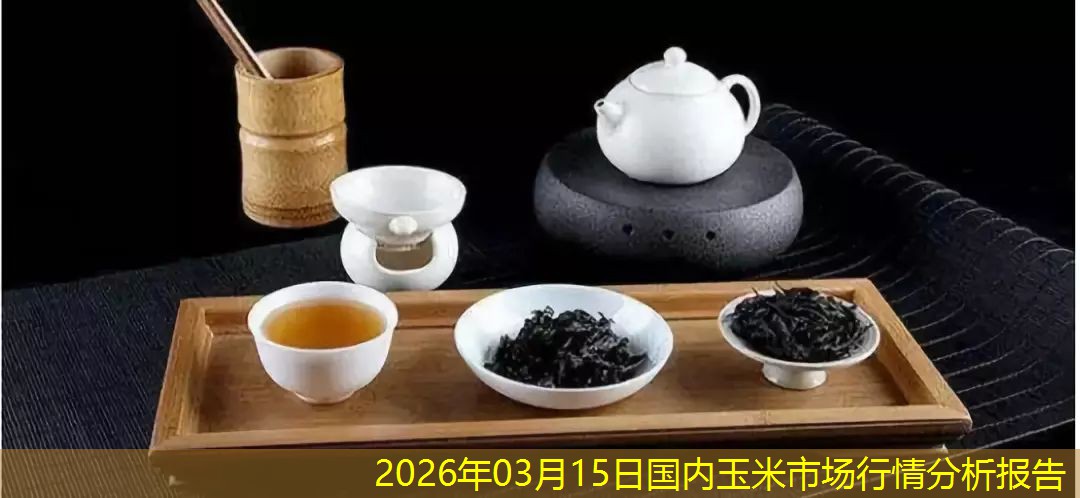 2026年03月15日国内玉米市场行情分析报告