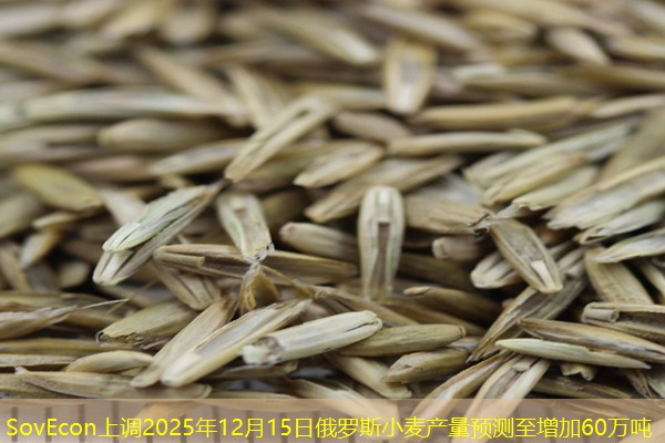 SovEcon上调2025年12月15日俄罗斯小麦产量预测至增加60万吨