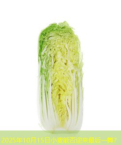 2025年10月15日小麦能否迎来最后一舞？