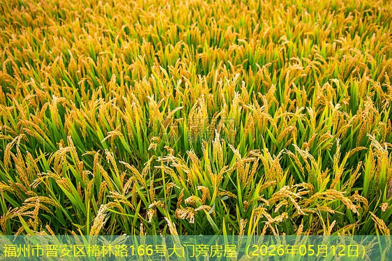 福州市晋安区樟林路166号大门旁房屋（2026年05月12日）