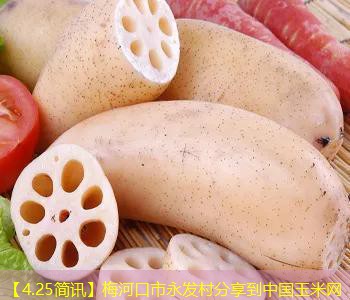 【4.25简讯】梅河口市永发村分享到中国玉米网