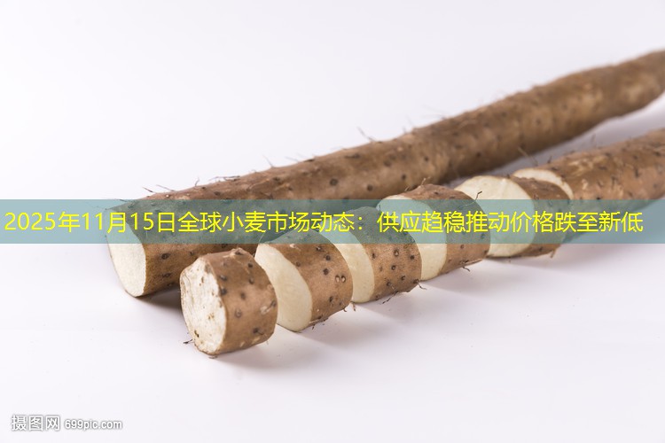 2025年11月15日全球小麦市场动态：供应趋稳推动价格跌至新低