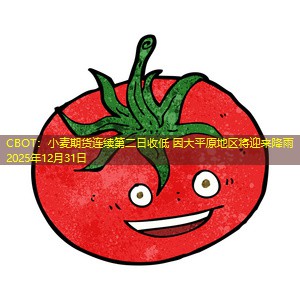 CBOT：小麦期货连续第二日收低 因大平原地区将迎来降雨2025年12月31日