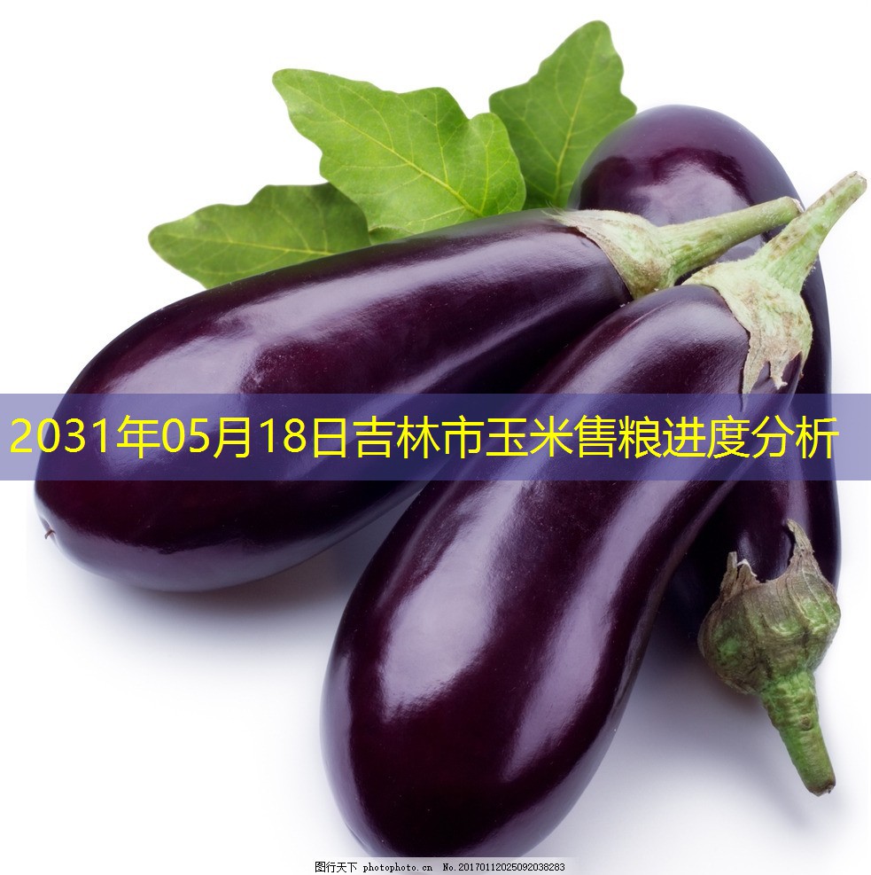 2031年05月18日吉林市玉米售粮进度分析